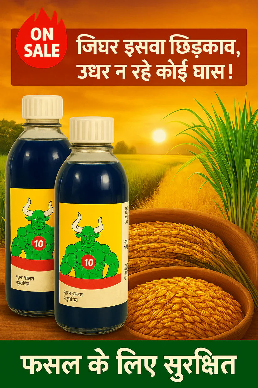 High-Concentration Glufosinate Herbicide – 2–4 Day Fast Weed Killer | Buy 1 Get 1 Free | Kill All Weeds Guaranteed